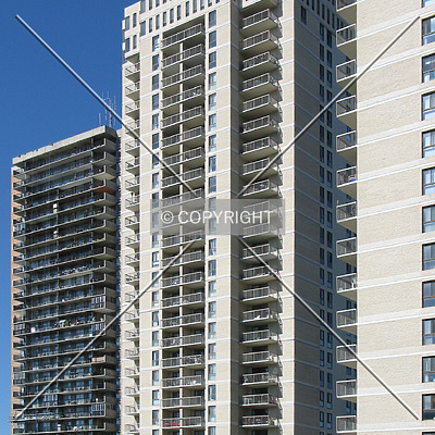 Seven Evergreen by Emmanuel D.