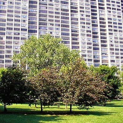 2800 North Lake Shore Drive by Daniel Kieckhefer