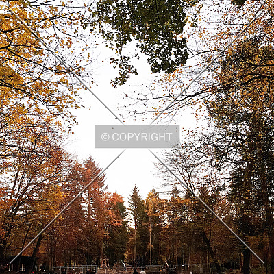 Goetheturm by Nephilim