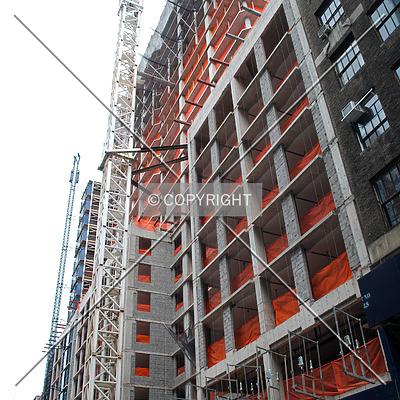 Emerald Green by Royce Douglas