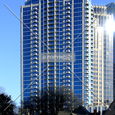 Avenue by Chris Patriarca