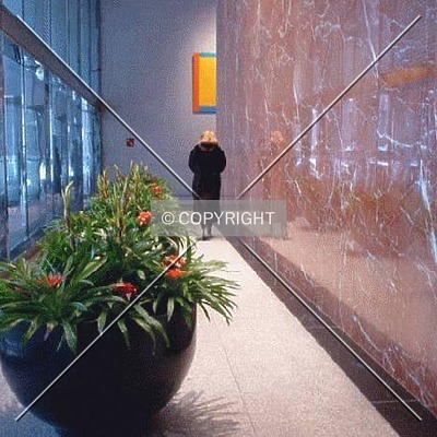 Tower 49 by Nephilim