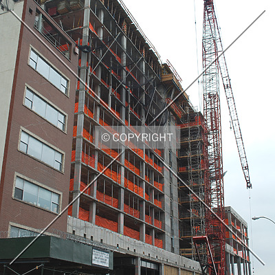 OHM by Royce Douglas