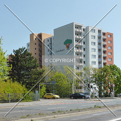 Dicker Busch by Nephilim