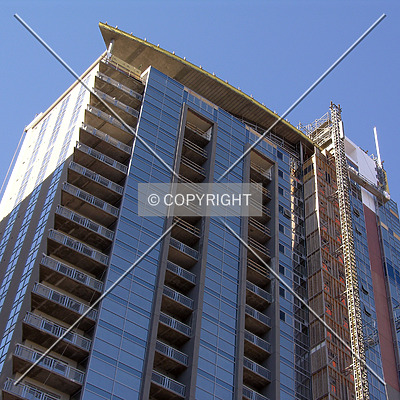 TradeMark by Chris Patriarca