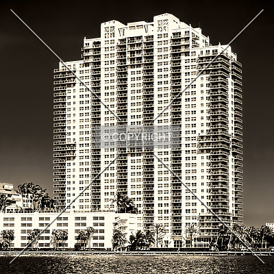 The Floridian by Jorge Molina