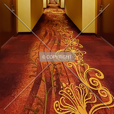 Bloomington-Normal Marriott Hotel & Conference Center by Ryan Hildebrand