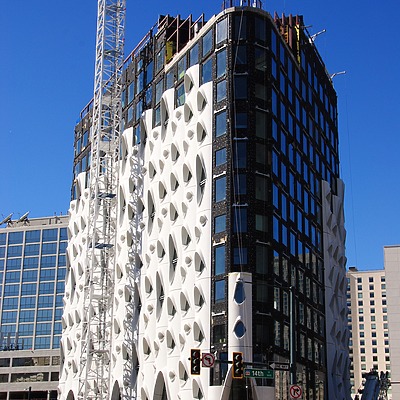 Populus by Brian LoBue