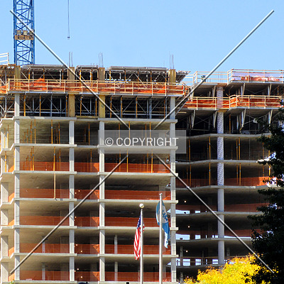 3737 Chestnut by Chris Patriarca