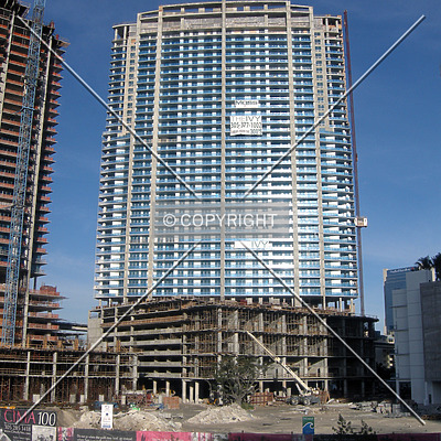 The Ivy by Jorge Molina