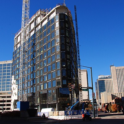 Populus by Brian LoBue