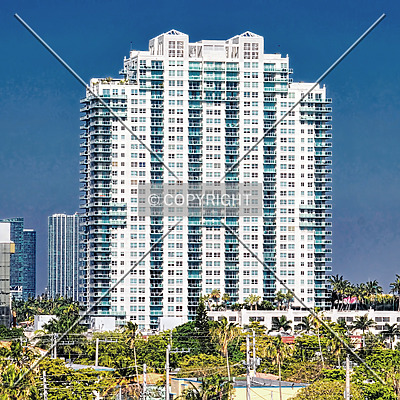 The Floridian by Jorge Molina