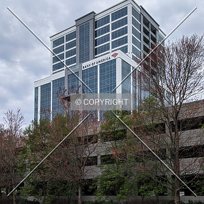 Falls Tower Camperdown by Chris Patriarca