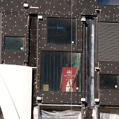 Populus by Brian LoBue