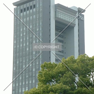 Hosei University Boissonade Tower by Andrew Stewart