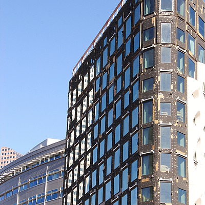 Populus by Brian LoBue