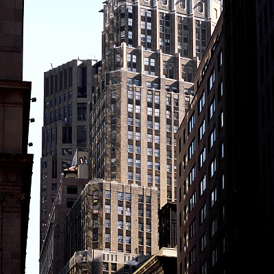 The Crest by John Cahill