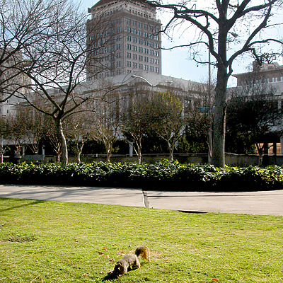 Fresno Pacific Towers by Jim Schwartz