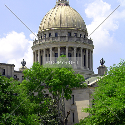 Mississippi State Capitol by Chris Patriarca
