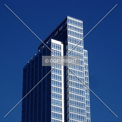 The Link by Royce Douglas