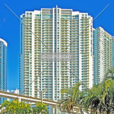 The Ivy by Jorge Molina