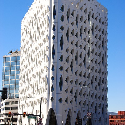 Populus by Brian LoBue