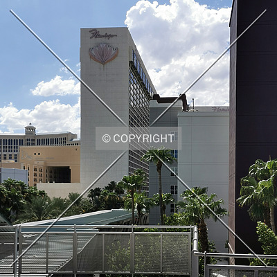 Flamingo Las Vegas by Nephilim