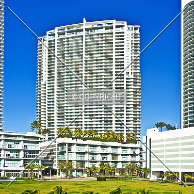 The Ivy by Jorge Molina