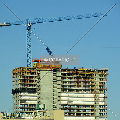 The Evo by Chris Patriarca