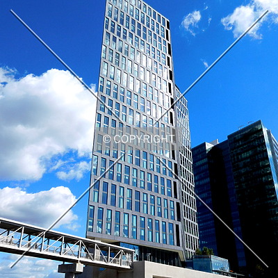 Vita by Chris Patriarca