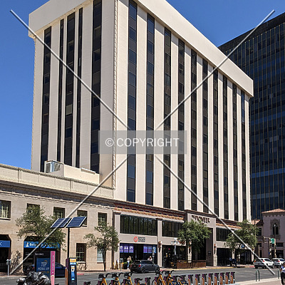 The Pioneer by Chris Patriarca