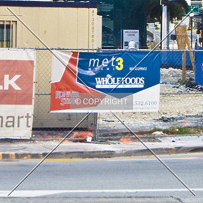 Monarc at Met 3 by Jorge Molina