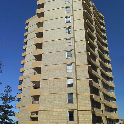 The Pines by John Bek