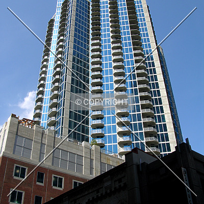 Avenue by Chris Patriarca