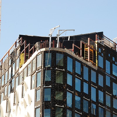 Populus by Brian LoBue