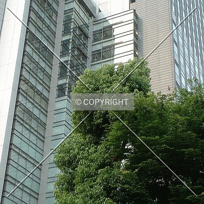 Hosei University Boissonade Tower by Andrew Stewart