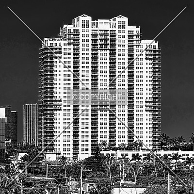 The Floridian by Jorge Molina