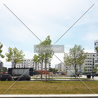 SOLID Home by Nephilim