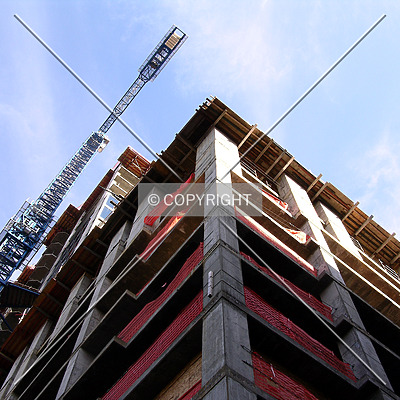 Avenue by Chris Patriarca