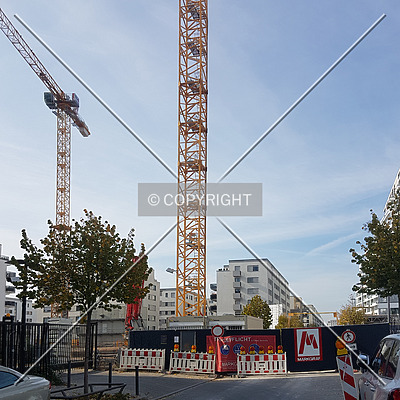 SOLID Home by Nephilim