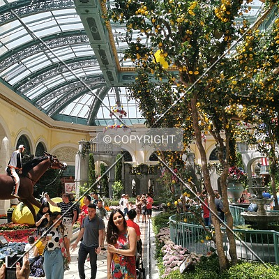 Bellagio Resort & Casino by Nephilim