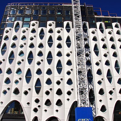 Populus by Brian LoBue