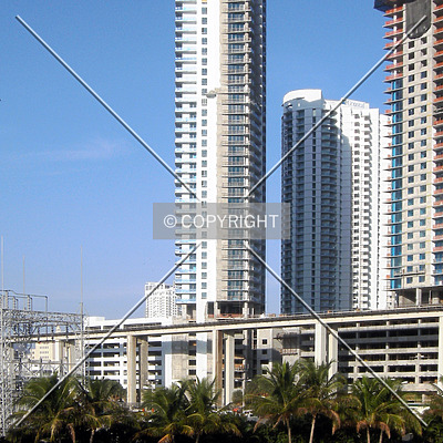 The Ivy by Jorge Molina