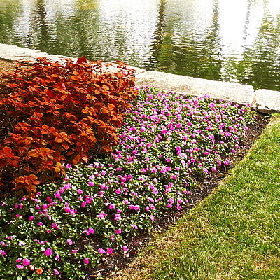 Lake Point Tower by Daniel Kieckhefer