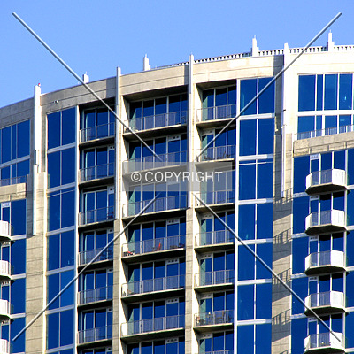 Avenue by Chris Patriarca