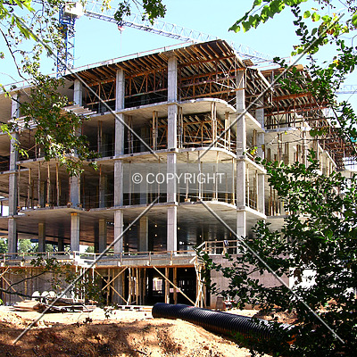 Rosewood Building I by Chris Patriarca