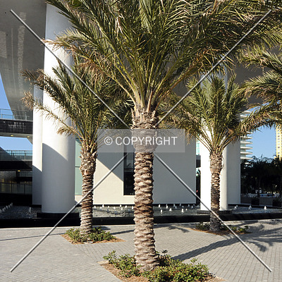 Apogee South Beach by Jorge Molina