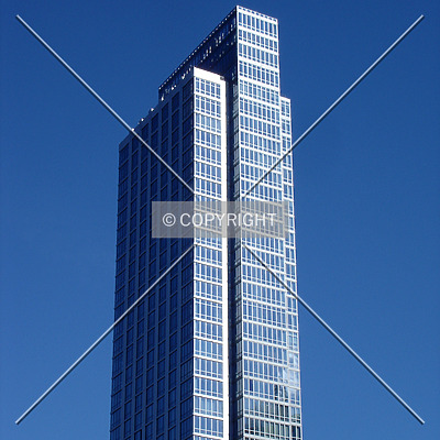 The Link by Royce Douglas