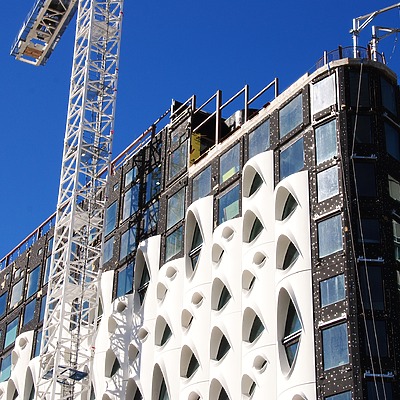 Populus by Brian LoBue