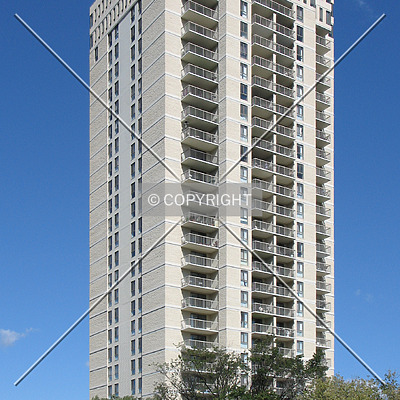 Seven Evergreen by Emmanuel D.